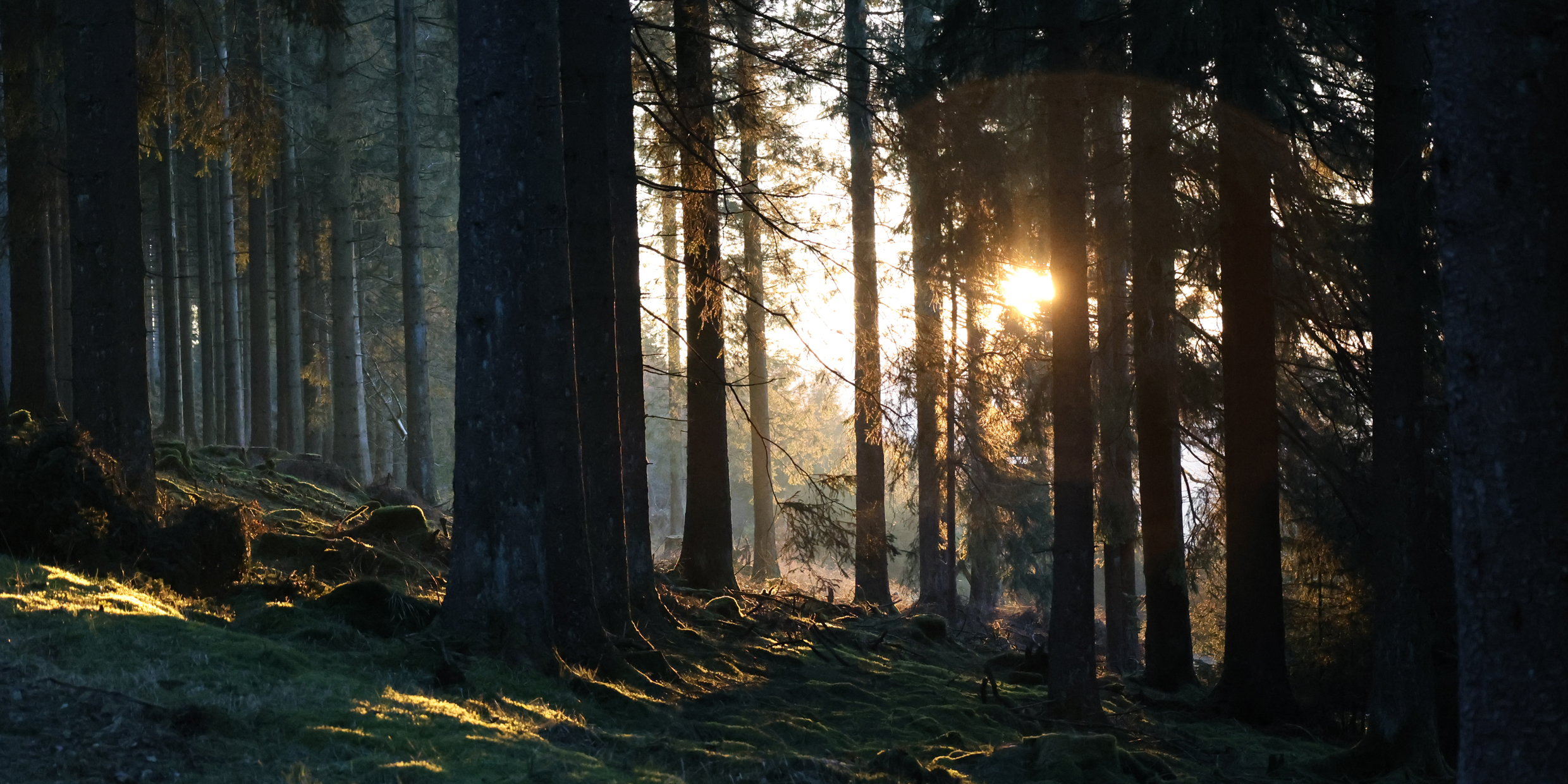 Natur